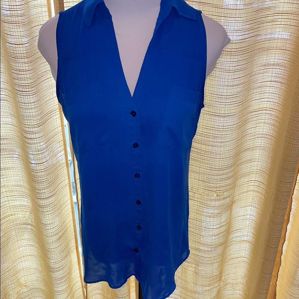 Express Blue Sleeveless Button-Up Blouse | S